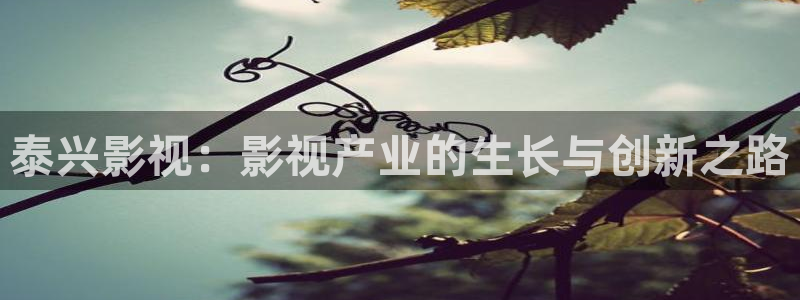 國(guó)產(chǎn)玖玖精品視頻：泰興影視：影視產(chǎn)業(yè)的生長(zhǎng)與創(chuàng)新之路